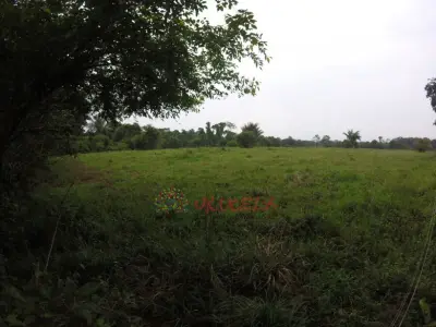 Se Venden 10 Hectáreas en la Vereda San Nicolas Cumaral - Meta.