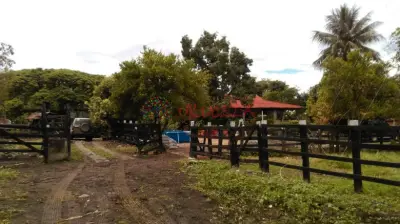 VENDO FINCA GANADERA EN DURANIA