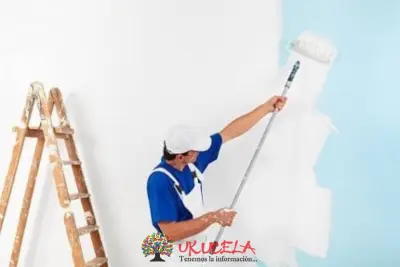 MANO DE OBRA CALIFICADA - EFICIENTE Y PUNTUAL
