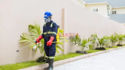 servicio de fumigacion en santa marta - fumigadores a domicilio
