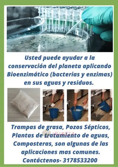 Bacterias para Trampas de Grasa