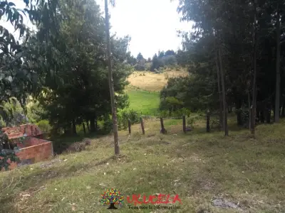 Venpermuto finca