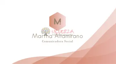 Asesoría en proyectos de grado e investigación