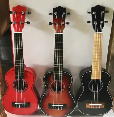 Ukeleles soprano o concierto