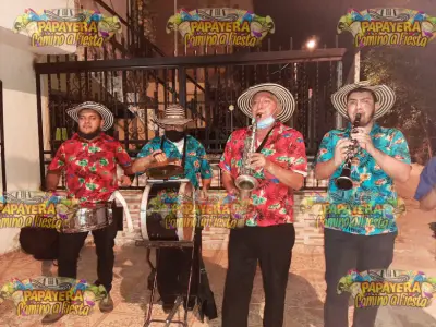 papayeras en cali