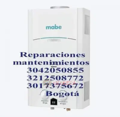 Mantenimiento y reparación de calentadores Challenger
