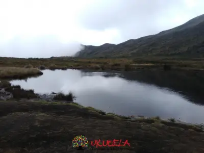 CAMINATA PARQUE MATAREDONDA