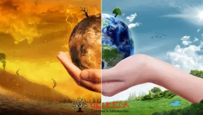 ENFERMEDADES DEL CAMBIO CLIMÁTICO