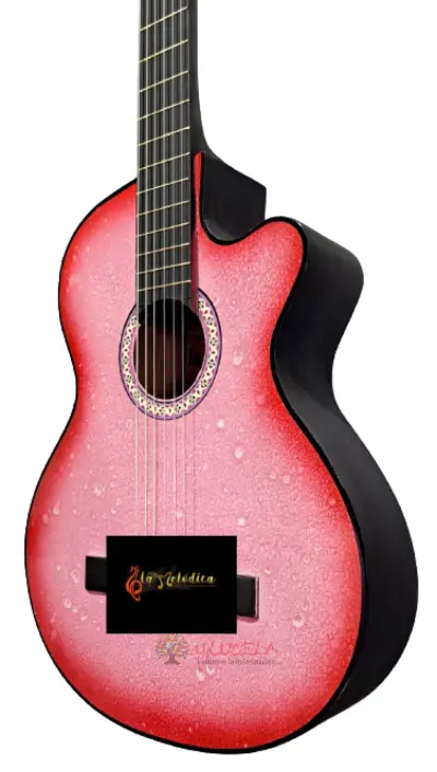 GUITARRAS ACÚSTICAS!!