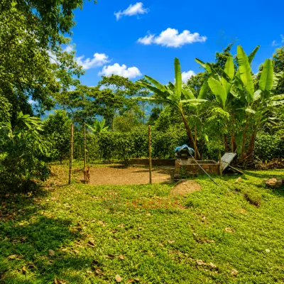 Permuto Finca con Montaña Cultivos y Casa en Mesitas del Colegio - foto 4
