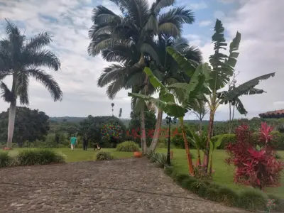 PERMUTO BELLÍSIMA FINCA EN EL MUNICIPIO DE QUIMBAYA