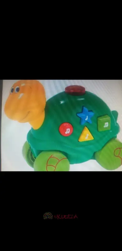 CARRITO PARA TU BEBE DE TORTUGA