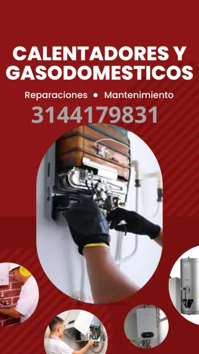 Reparación de calentadores en Madrid 314 4179831