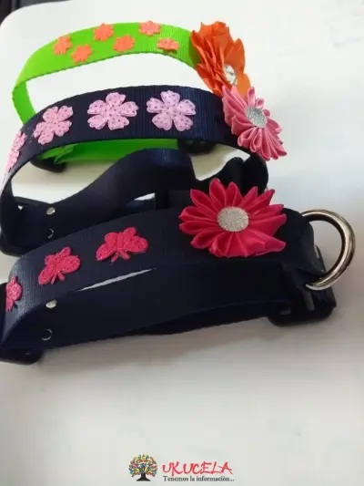 Collares para mascotas