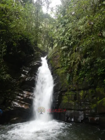 SANTA RITA LA CASCADA TE INVITA A CONOCER NUESTROS SENDEROS ECOLÓGICOS