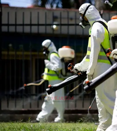 certificado de fumigación en santa marta para negocios