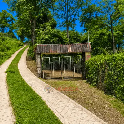 Permuto Finca con Montaña Cultivos y Casa en Mesitas del Colegio