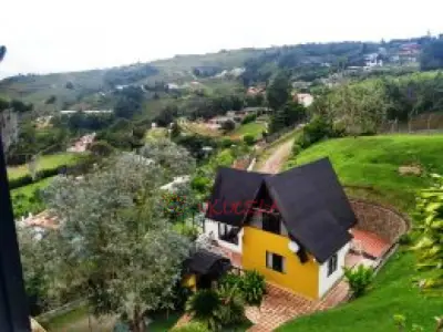 Dinastía inmobiliaria