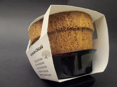KIT DE SIEMBRA DE BONSAI FLOR O AROMATICA