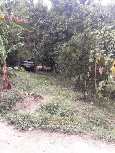 Venta de lote