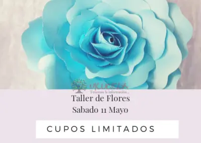 CURSO FLORES CALI