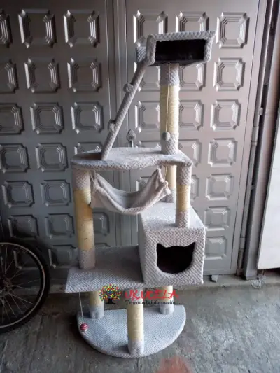 gimnasios para gatos