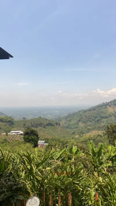 VENDO EXCELENTE FINCA EN BUENAVISTA - QUINDIO