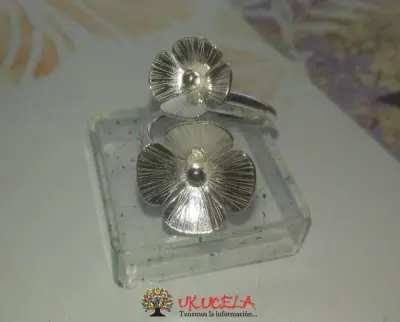 Anillo Plata