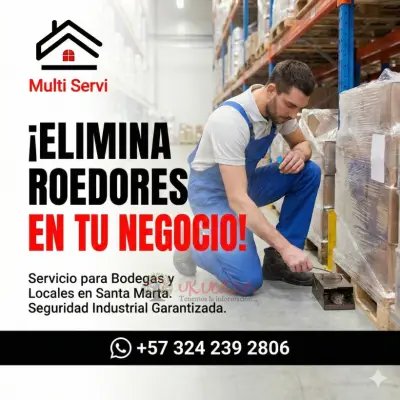 ratas en casa solución inmediata en santa marta.