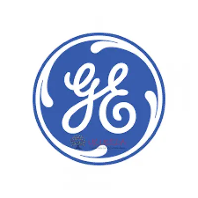 Servicio técnico General Electric El Chico 3153902316