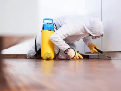 fumigaciones de plagas 3245620040