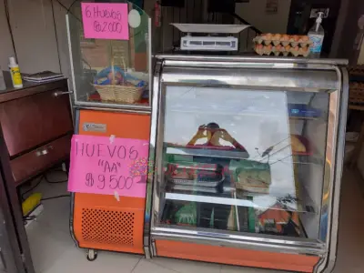 Vendo Nevera  Mostrador en Buen Estado