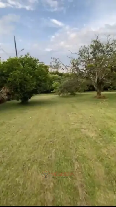 LOTE EN CERRITOS PEREIRA