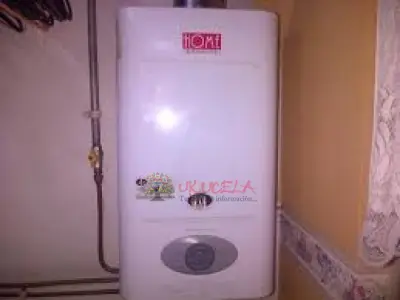SERVICIO TECNICO ESPECIALIZADO DE CALENTADORES HOME EXPRESS TEL 3174150938