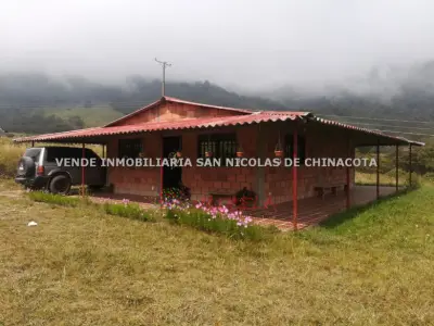 VENDO GRANJA PRODUCTIVA EN CHINACOTA