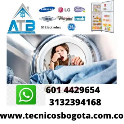 MANTENIMIENTOS  DE SECADORAS LG 3006555042