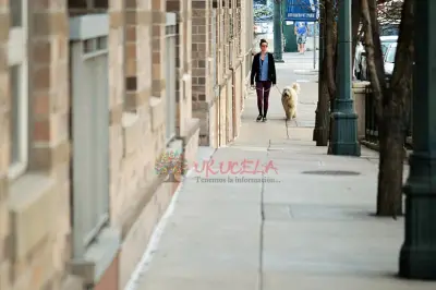 Paseo por horas