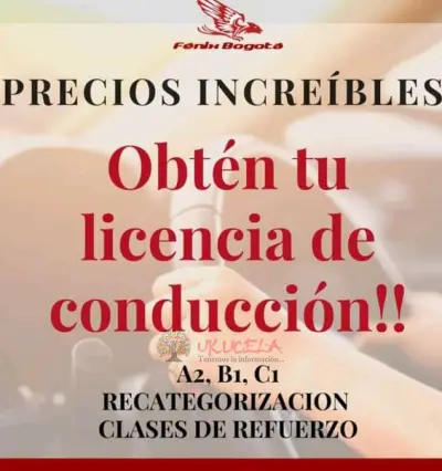 Licencias de conducción
