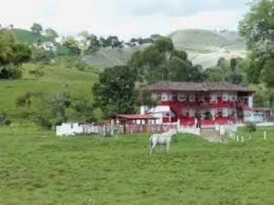 me ofrezco como mayordomo con pareja sin hijos
