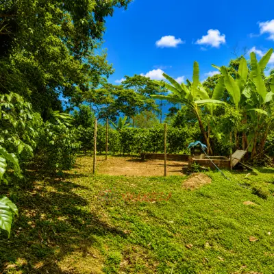 Permuto Finca con Montaña Cultivos y Casa en Mesitas del Colegio - foto 7