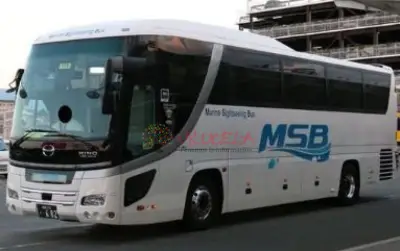 SERVICIOS DE BUSES Y VAN TODO DESTINOS