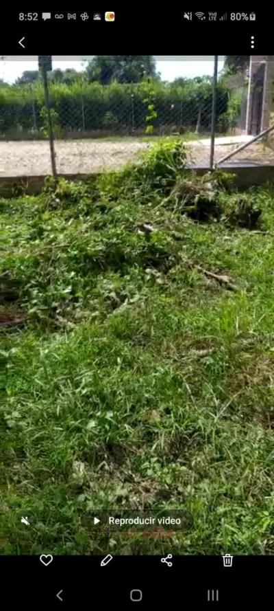 Lote en vereda Siribana via el garcero Yopal Casanare