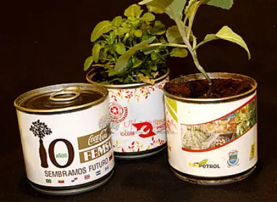Plantas enlatas personalizadas para campañas de Merchandising.
