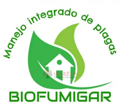 control de plagas