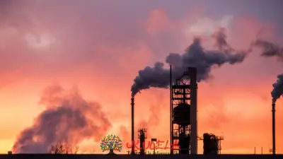 COMBUSTIBLES FÓSILES - ELIMINACIÓN POSITIVA