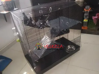 Jaulas para conejos pequeños.