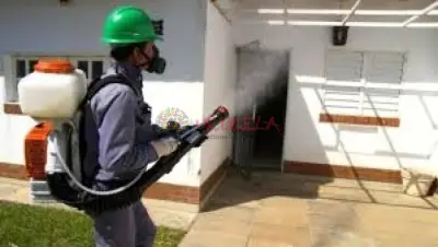 fumigaciones en santa marta todo tipo de servicio de fimigacion a domicilio