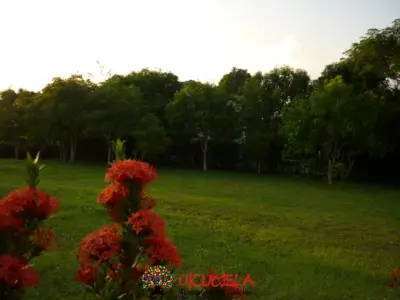 VENTA LOTE  MELGAR CONDOMINIO CLUB 95 MILLONES 3002671970 - 3203358132
