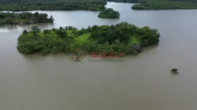 isla en buenaventura unica oportunidad colombia