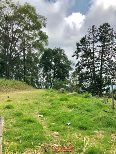 VENDO LOTE VIA SASAIMA - ALBAN